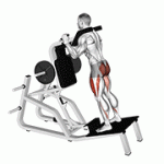 Fito App Lever Reverse Vertical Hack Squat exercise demonstration with how-to guide and tips.